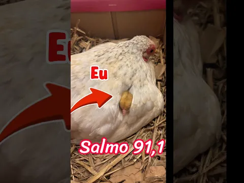 Salmo 91