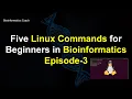 Linux Commands for Reading Files Linux Tutorial