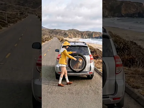BabyDuck React Dog on a Wheel 🛞🐕 #shorts #memes #babyduck