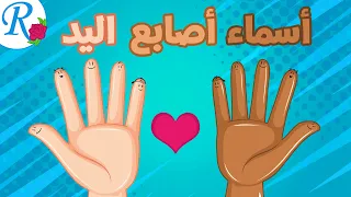 أسماء الأصابع أصابع اليد تعليم الأطفال Fingers Family Names قناة روز للأطفال بدون موسيقى 