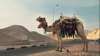 Cinéma - Portrait - Raed Andoni - Fix Me