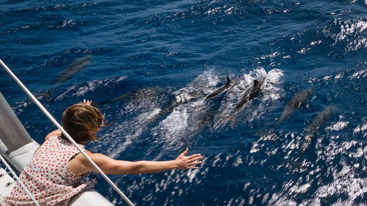 Bye Bye Bahamas – Sailing to Florida (s/v Curiosity)