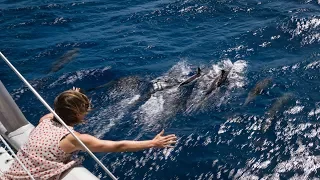 Bye Bye Bahamas – Sailing to Florida (s/v Curiosity)