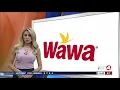 Wawa hiring 1 000 Floridians over the next few months