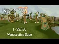 RuneScape 3 - 1