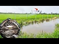 Download Lagu Nay đi thăm 35 cái lờ cá cái nào cũng chạy và thành quả thu được 10 ký Cá @SơnTung-s4g
