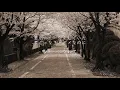 桜坂 - 福山雅治（フル）