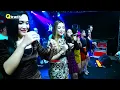 Download Lagu PENJAGA HATI - ALL ARTIST - QTRANX MUSIC - HALAL BIHALAL PEMUDA TAMBAK PUNCEL PATI