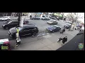 WATCH - Man Steals two cellphones from an AT T store on 13th Ave