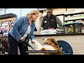 My Canadian Story Monique Cramer Pet Valu Windsor ON