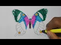 How to Draw Butterfly Coloring Pages - Art Colours for Kids