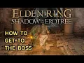 ELDEN RING DLC How to Get to the Scorpion River Catacombs Boss