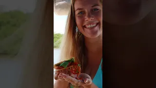 The Most Delicious Chorizo Quesadillas #sailboat #recipe