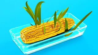 33 Bí Quyết Làm Vườn Tại Nhà: Trồng Gì Cũng Được!
