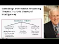 Sternberg information processing theory Detailed disscus MCQ