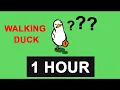 Duck Goes For A Walk 60 Minutes - Countdown Timer 1 hour