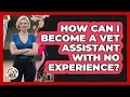 How Can I Become A Vet Assistant With No Experience - Animal Care Jobs