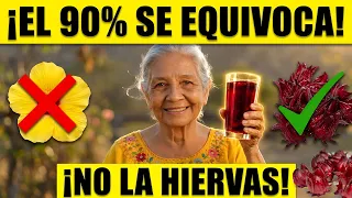 ¿Cuál es la VERDADERA Flor de Jamaica (El secreto de la abuela) 🌺✨