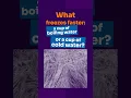 Download Lagu Hot Water Freezes Faster Than Cold Water!