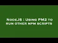NodeJS Using PM2 to run other npm scripts