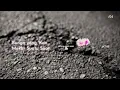 Download Lagu [Official Lyric Video] JKT48 - Bunga yang ‘Kan Mekar Suatu Saat