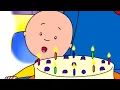 Caillou | Caillou en de Bosbessencake | Nieuwe Hele Caillou Afleveringen | Nederlands Gesproken