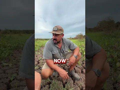 Are the crawfish okay...?