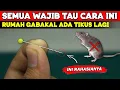 Download Lagu Ternyata cuma begini, rumah SELAMANYA aman dari TIKUS !!!