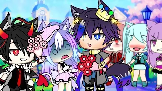 the 2 school princes fell in love with me gacha life 