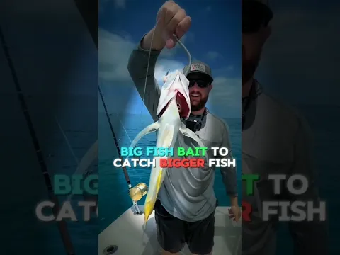 He Used A Fish As Bait... Then The Unexpected Happened