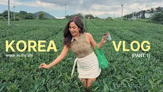 my DREAM work trip to KOREA ๐ฐ๐ท๐ต seoul, jeju & everything in between (PART 1)