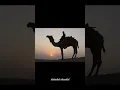 Download Lagu 6 manfaat membaca sholawat badar!?! #shorts #2022 #sholawat #amalan #doa #tiktok #fyp #viral
