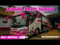 JARANG TEREKSPOS! PINKY BUS | Trip Belitang - Jakarta With Almira \