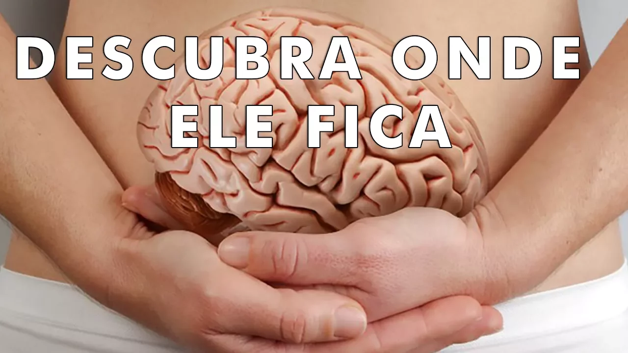 Acredite, você tem um segundo cérebro (e não sabia disso)