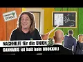 Download Lagu Wieso CANNABIS kein BROKKOLI ist - Eine LEKTION für die UNION