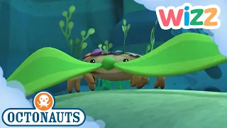 @Octonauts - The Decorator Crab | Full Episode | Cartoons for Kids | @Wizz  ​