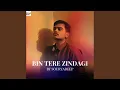 Bin Tere Zindagi