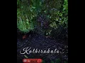 Download Lagu Charlie Movie  Pularikalo… songs  WhatsApp status ❣️❣️❤️