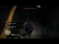 dragon s Dogma dark arisen - drake devilfire grove