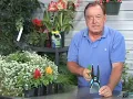 Using Gardening Hoes