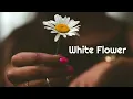 Lagu tubebackr - White Flower