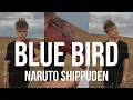 Download Lagu Naruto Shippuden - Blue Bird - Violin cover by Zotov