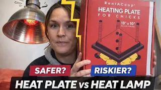 Brooder Heat Plate Review Safer Alternative to Heat Lamps