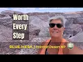 Why the Petrified Forest Looks Nothing Like You d Expect