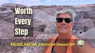 Why the Petrified Forest Looks Nothing Like You d Expect