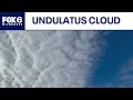 Wisconsin Weather Experts Hurricane Melissa recovery undulatus cloud science FOX6 News Milwaukee