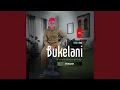 Download Lagu Uyehluleka (feat. Nyuswa)