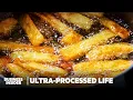 Download Lagu The Truth About Seed Oils: Separating Science From Hype | Ultra-Processed Life | Business Insider