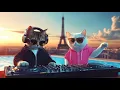 DJ MIAWW Live – Chill House Grooves with the Coolest Cat Duo 🐾💕 | Love Beats by the Pool