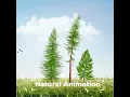 Tree Animation 2D Animation in After Effects Motion Graphics